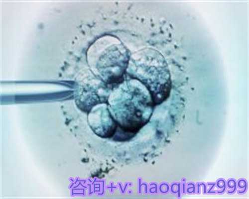 北京如何寻找助孕服务与精子库选择指南