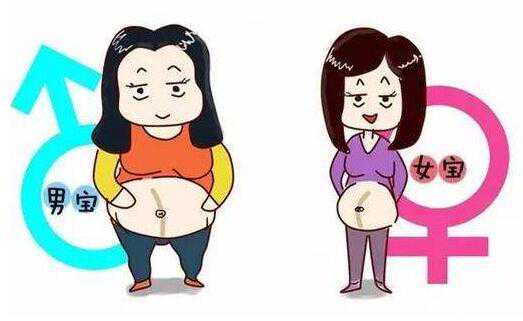 北京供卵流程详解：不孕不育问题全面解决指南