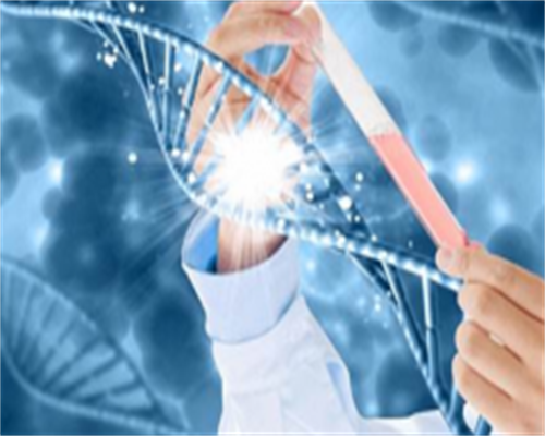 胚胎着床失败原因与应对策略