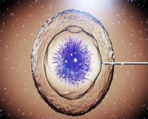 2026年试管助孕新趋势：性别选择与健康生育指南