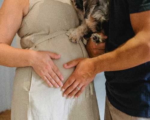 试管助孕中孕囊形状与胎儿性别判定的科学探讨