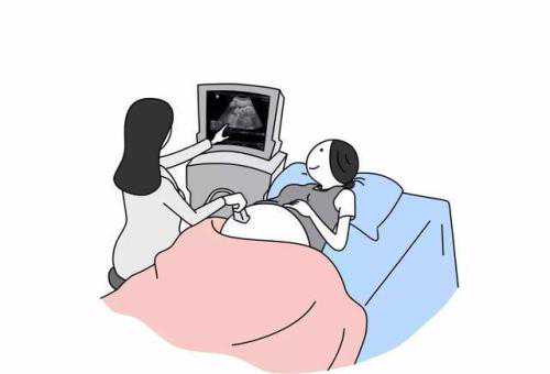 专业医疗代孕与试管婴儿卵泡发育指南