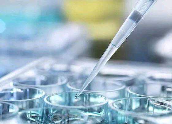 北京50万代孕指南：华西精子库与供卵试管选择解析