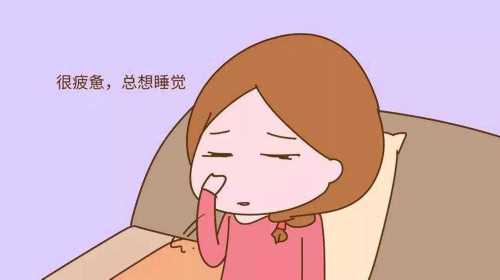 泰国威它尼医院辅助生殖技术解析