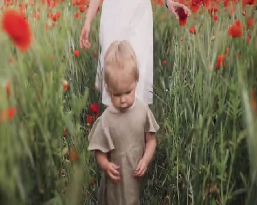 北京民营供卵试管医院选择指南与条件解析