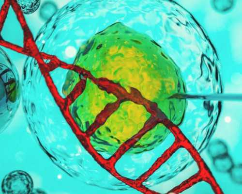 子宫肌瘤揭秘：探寻病因与健康防护策略