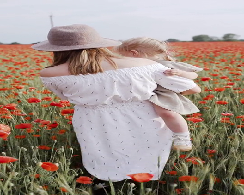 北京做试管买卵子价格,2卵泡