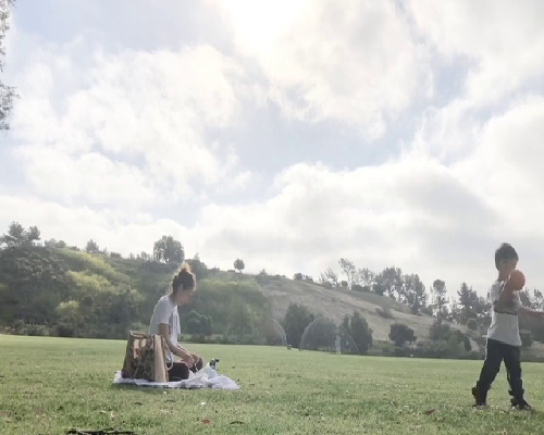 北京试管助孕长方案促排指南与代怀服务解析